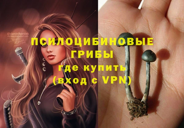 spice Алзамай